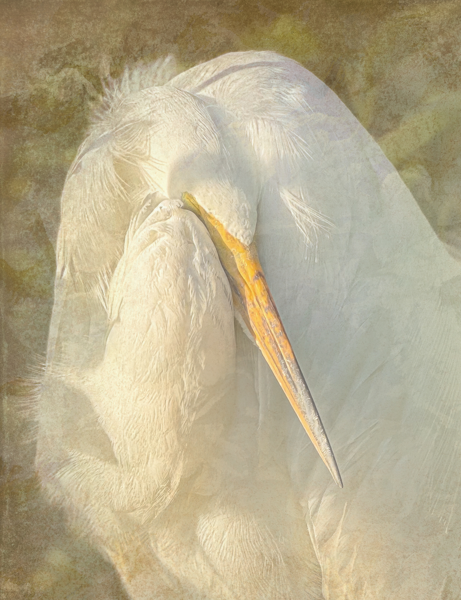 3rd PrizeCreative Artistry In Class 3 By Deb Payette For Mornings Are Rough SEP-2025.jpg